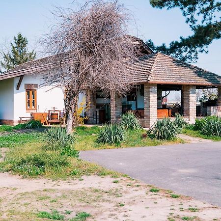 Sun City Vizisport Paradicsom Hódmezővásárhely Buitenkant foto